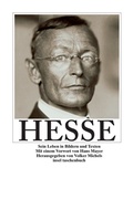 Cover: Hermann Hesse - Insel