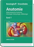 Bild: Anatomie - Urban & Fischer