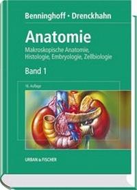 Abbildung von: Anatomie - Urban & Fischer