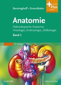 Abbildung von: Benninghoff, Drenckhahn, Anatomie - Urban & Fischer