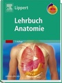 Cover: Lehrbuch Anatomie mit StudentConsult-Zugang - Urban & Fischer