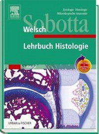 Abbildung von: Sobotta Lehrbuch Histologie<br>mit StudentConsult-Zugang - Urban & Fischer