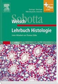 Abbildung von: Sobotta Lehrbuch Histologie - Urban & Fischer