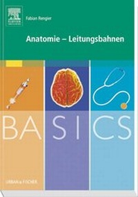 Abbildung von: BASICS Anatomie - Leitungsbahnen - Urban & Fischer