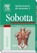 Cover: Spielend durch die Anatomie - Urban & Fischer