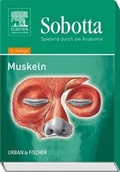 Cover: Spielend durch die Anatomie / Sobotta, Spielend durch die Anatomie - Urban & Fischer