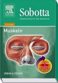 Cover: Sobotta, Spielend durch die Anatomie mit StudentConsult-Zugang - Urban & Fischer