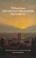 Cover: Die Vielfalt religi&ouml;ser Erfahrung - Insel