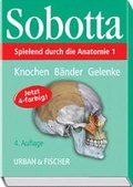 Cover: Spielend durch die Anatomie - Urban & Fischer
