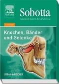 Cover: Spielend durch die Anatomie / Sobotta, Spielend durch die Anatomie - Urban & Fischer