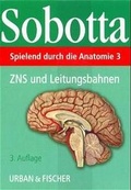 Cover: Spielend durch die Anatomie - Urban & Fischer
