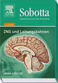 Cover: Spielend durch die Anatomie - Urban & Fischer