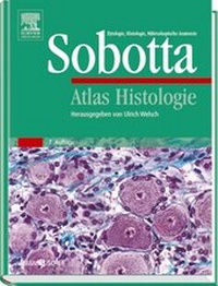 Abbildung von: Atlas Histologie - Urban & Fischer