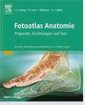 Cover: Fotoatlas der Anatomie - Urban & Fischer
