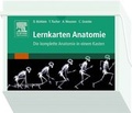 Cover: Lernkarten Anatomie - Urban & Fischer