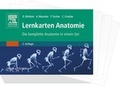 Cover: Lernkarten Anatomie - Urban & Fischer