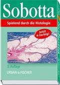Cover: Spielend durch die Anatomie - Urban & Fischer