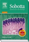 Cover: Sobotta, Spielend durch die Histologie mit StudentConsult-Zugang - Urban & Fischer