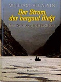Cover: Der Strom, der bergauf flie&szlig;t - Hanser