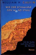 Cover: Wie der Schamane den Mond stahl - Hanser
