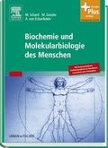 Cover: Biochemie und Molekularbiologie des Menschen - Urban & Fischer