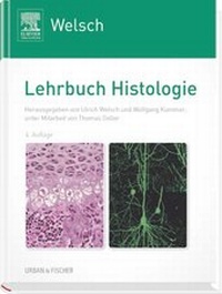 Abbildung von: Lehrbuch Histologie - Urban & Fischer