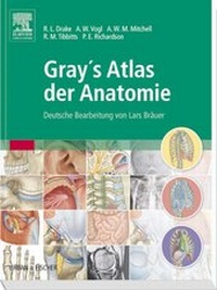 Abbildung von: Gray's Atlas der Anatomie - Urban & Fischer