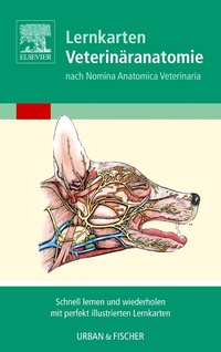 Abbildung von: Lernkarten Veterinäranatomie/Veterinary Anatomy Flash Cards - Urban & Fischer