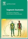 Cover: Segment-Anatomie - Urban & Fischer
