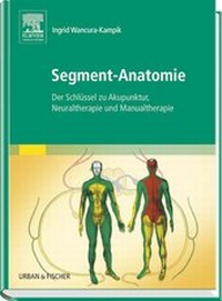 Abbildung von: Segment-Anatomie - Urban & Fischer