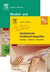 Abbildung von: Anatomische Strukturen begreifen - Urban & Fischer