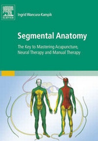 Abbildung von: Segmental Anatomy - Urban & Fischer
