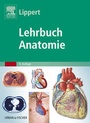 Cover: Lehrbuch Anatomie - Urban & Fischer