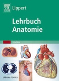 Cover: Lehrbuch Anatomie - Urban & Fischer