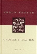 Cover: Gro&szlig;es Erwachen - Hanser