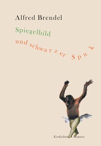 Enlarge image Cover: Spiegelbild und schwarzer Spuk - Hanser