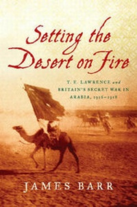 Enlarge image Cover: Setting the Desert on Fire - WW Norton & Co
