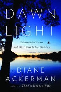 Enlarge image Cover: Dawn Light - WW Norton & Co