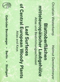Abbildung von: Blattoberflächen mitteleuropäischer Laubgehölze /Leaf Surfaces of Central European Woody Plants - Borntraeger