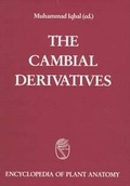 Cover: Handbuch der Pflanzenanatomie. Encyclopedia of plant anatomy. Trait&eacute; d'anatomie v&eacute;g&eacute;tale / The cambial Derivatives - Borntraeger