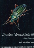 Cover: Insekten Deutschlands / K&auml;fer, Hautfl&uuml;gler, Zweifl&uuml;gler und weitere Insektenordnungen - Borntraeger