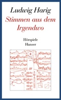 Cover: Stimmen aus dem Irgendwo - Hanser