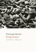 Cover: Gottgewimmer - Hanser