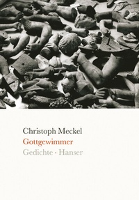 Enlarge image Cover: Gottgewimmer - Hanser
