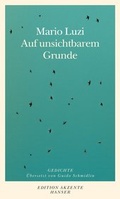 Cover: Auf unsichtbarem Grunde - Hanser