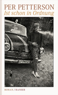 Enlarge image Cover: Ist schon in Ordnung - Hanser