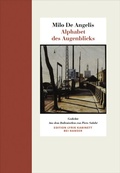 Cover: Alphabet des Augenblicks - Hanser