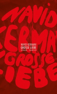 Abbildung von: Große Liebe - Hanser