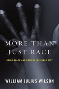 Cover: More than Just Race - WW Norton & Co