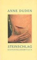 Cover: Steinschlag - Kiepenheuer & Witsch